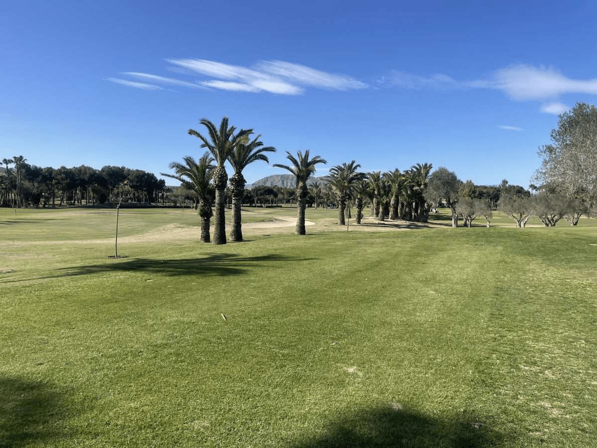 22nd May Match Report El Plantio