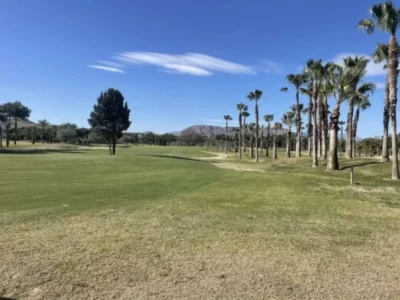 El Plantio Golf Course Inbetweeners golf Society