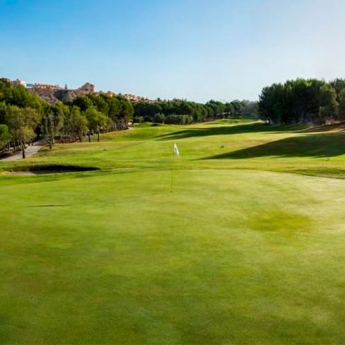 Bonalba Golf Course In Mutxamel 