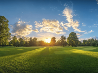 Inbetweeners Golf Society La Marina Alicante Contact Us