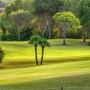 Las Ramblas Golf Course venue for Inbetweeners Golf Society for Texas scramble match