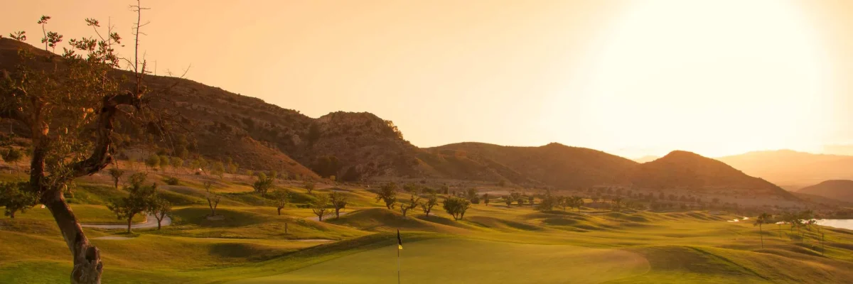 La Finca Golf Course View