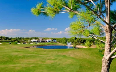Inbetweeners Golf Club - Membership Form